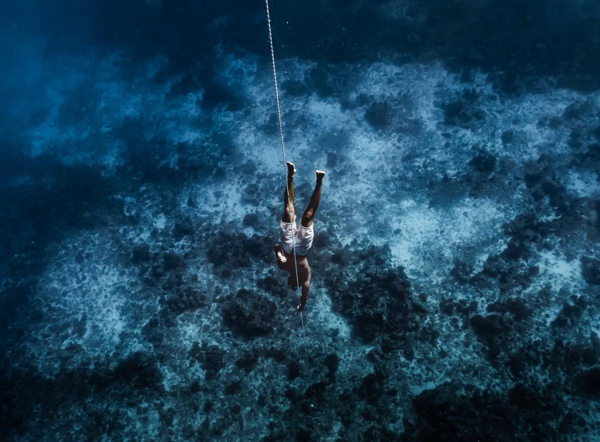Expédition freediving en catamaran dans le grand bleu